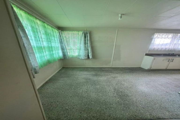 Photo of property in 17 Von Sturmer Street, Mangere East, Auckland, 2024