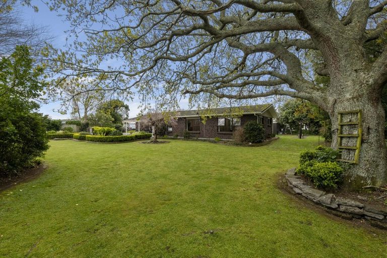 Photo of property in 44a Dixon Avenue, Hawera, 4610