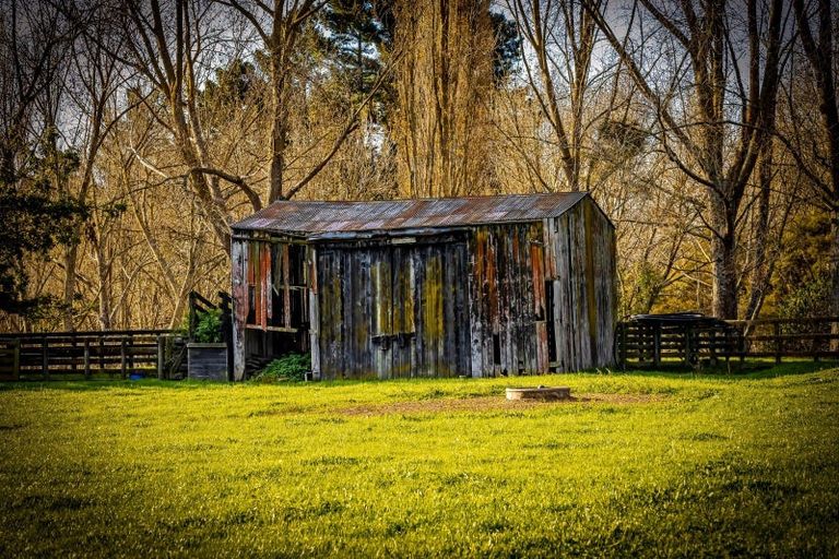 Photo of property in 263b Horahora Road, Piarere, Tirau, 3484