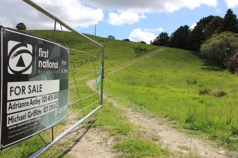 Photo of property in 118 Paparoa Station Road, Paparoa, 0571