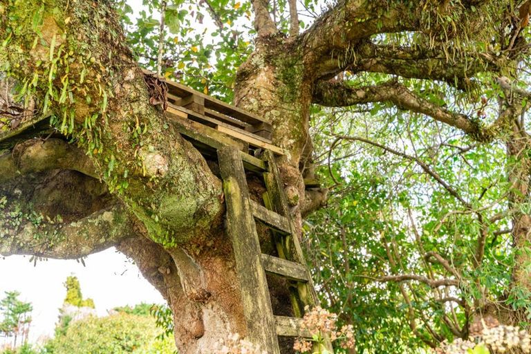 Photo of property in 70 Norris Road, Maungatapere, Whangarei, 0179