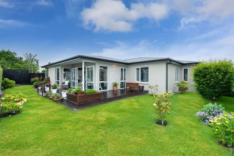 Photo of property in 43a Richill Street, Belfast, Christchurch, 8051