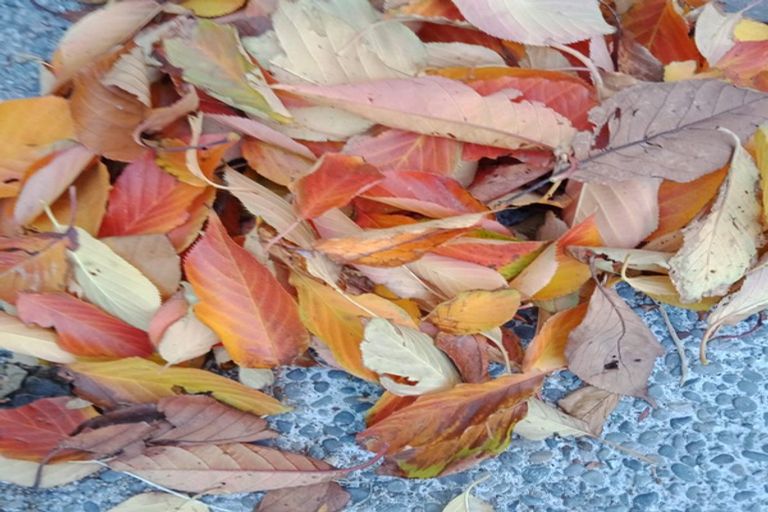 Photo of property in 53 Hawker Street, Mount Victoria, Wellington, 6011