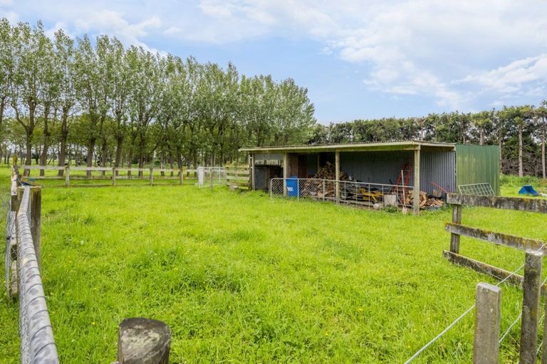 Photo of property in 71 Whelans Road, Levin, 5571