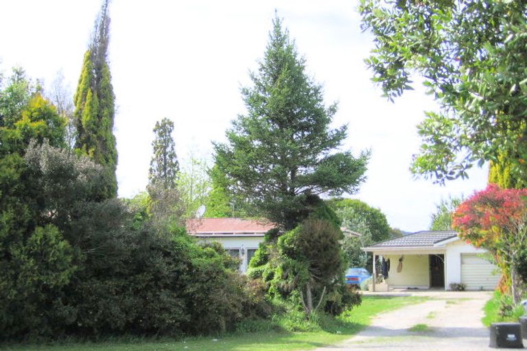 Photo of property in 17 Pine Street, Mangapapa, Gisborne, 4010