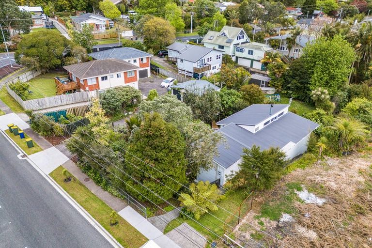 Photo of property in 155 Hutchinson Avenue, New Lynn, Auckland, 0600