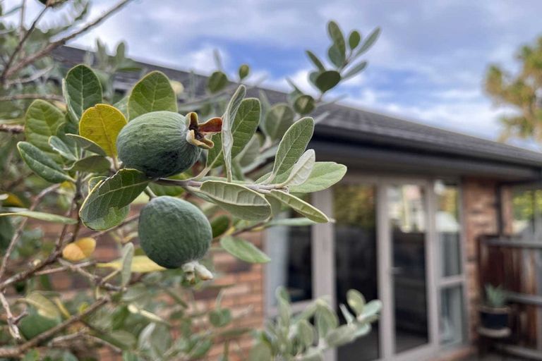 Photo of property in 86a Coronation Street, Spreydon, Christchurch, 8024