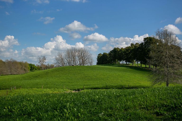 Photo of property in 129 Bell Road, Papamoa, 3187