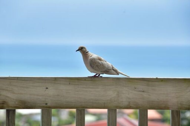 Photo of property in 35a Elliston Crescent, Stanmore Bay, Whangaparaoa, 0932