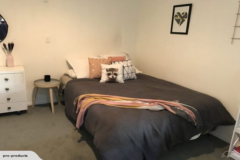 Photo of property in The Plumbers Building, 1a/124 Wakefield Street, Te Aro, Wellington, 6011