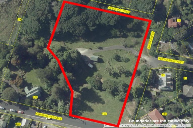 Photo of property in 103 Maryhill Terrace, Maryhill, Dunedin, 9011