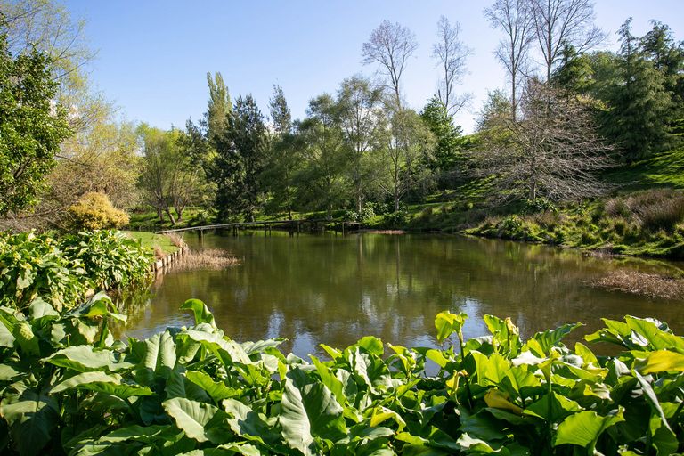 Photo of property in 129 Bell Road, Papamoa, 3187