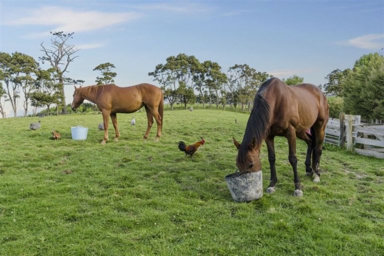 Photo of property in 258 Bawden Road, Dairy Flat, Albany, 0792