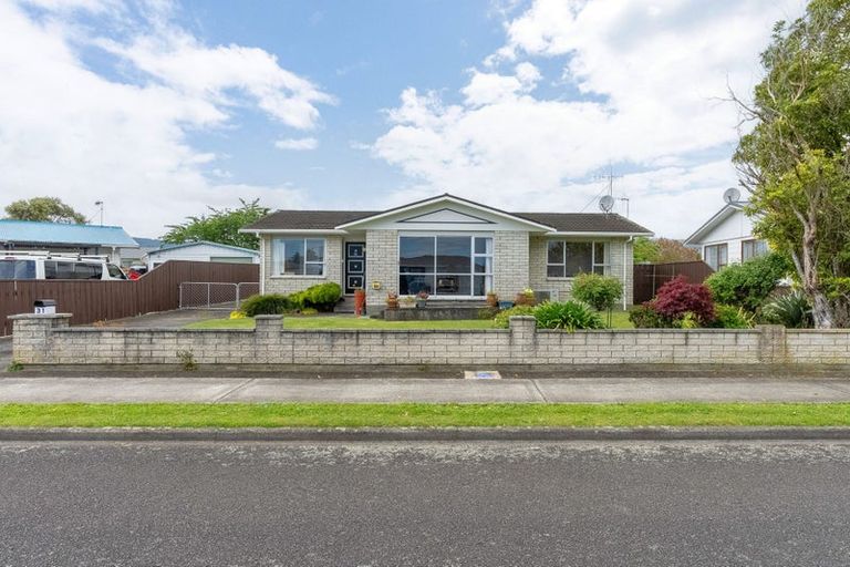 Photo of property in 31 Solway Street, Levin, 5510