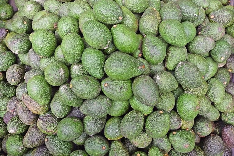 Photo of property in 1 Journeys End, Tapora, Wellsford, 0977