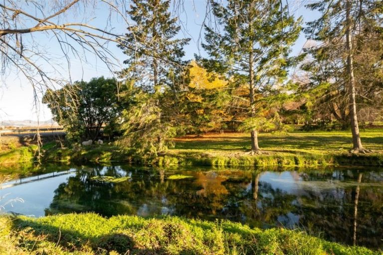Photo of property in 20 Stump Creek Road, Rapaura, Blenheim, 7273