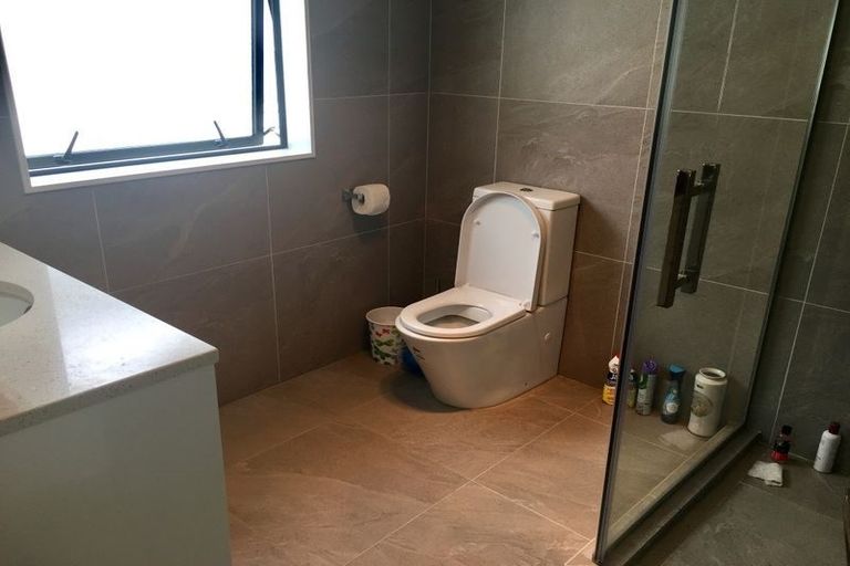 Photo of property in 21 Timmer Road, Flat Bush, Auckland, 2019