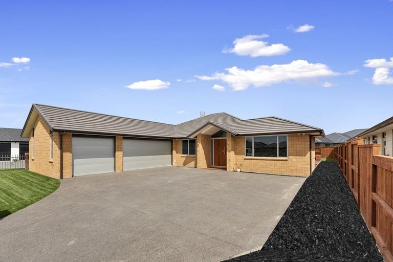 Photo of property in 17 Sydney Place, Flagstaff, Hamilton, 3210