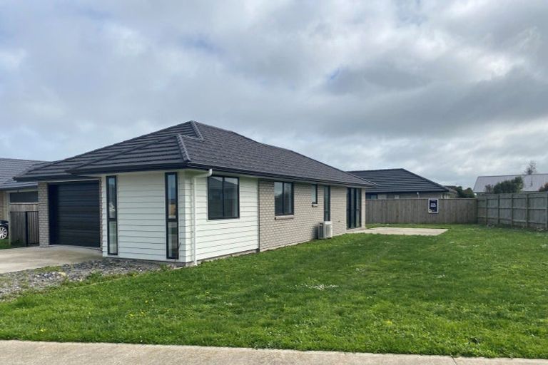 Photo of property in 68 Hinemoa Street, Levin, 5510