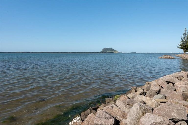 Photo of property in 50 Tilby Drive, Matua, Tauranga, 3110