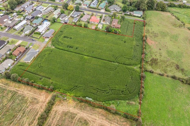 Photo of property in 20 Coolen Place, Tuakau, 2121