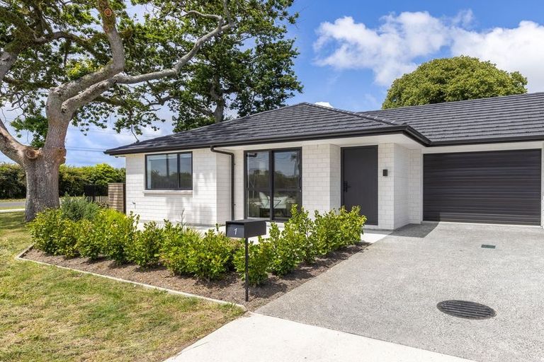 Photo of property in 1 Catherine Lane, Levin, 5510