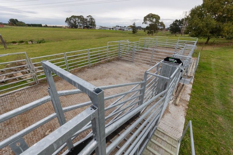 Photo of property in 335 Tutaki Road, Kelvin Grove, Palmerston North, 4470