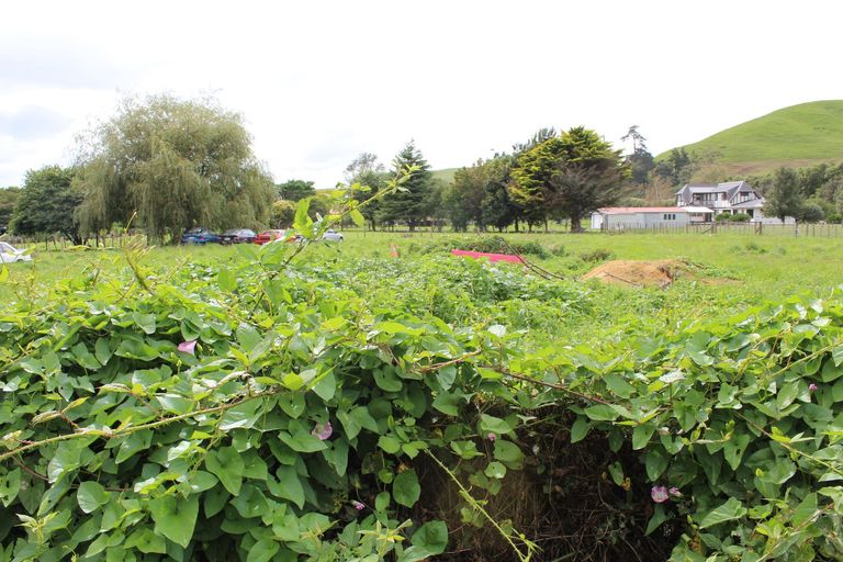 Photo of property in 1134 Tauwhare Road, Tauwhare, Hamilton, 3287