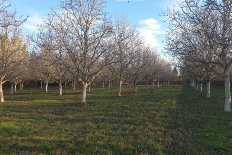 Photo of property in 142 Cullen Avenue, Swannanoa, Rangiora, 7475