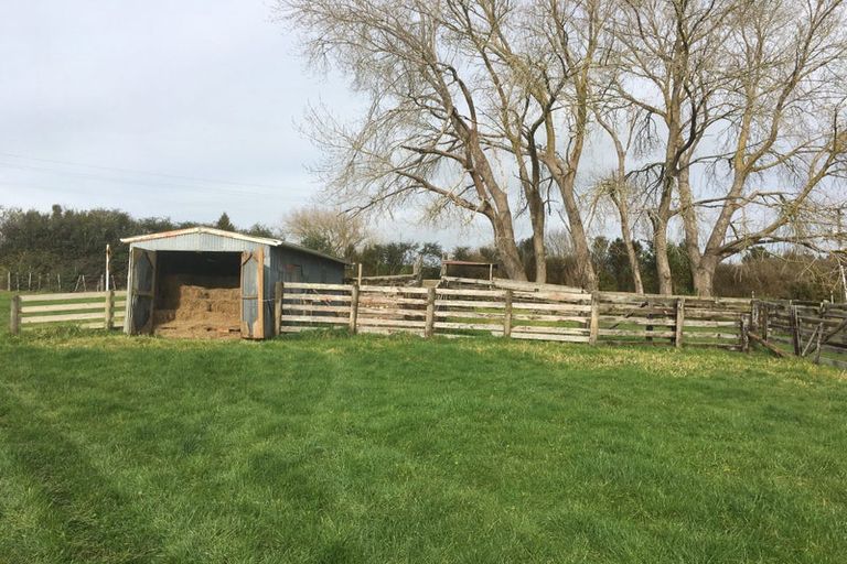 Photo of property in 1320 Highway 22, Pukekawa, Tuakau, 2696