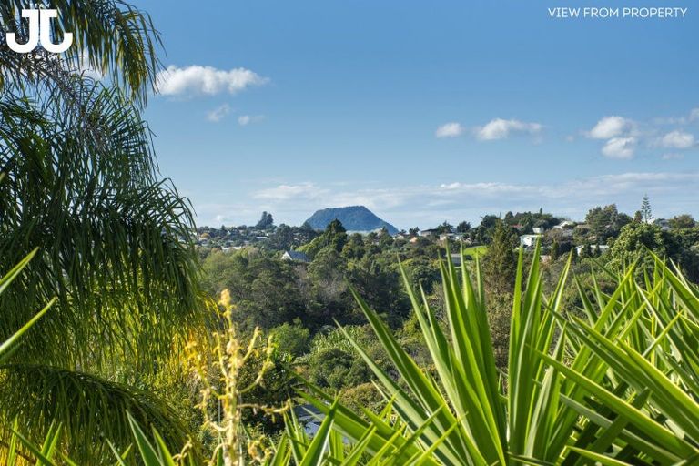Photo of property in 49 Amberley Crescent, Bethlehem, Tauranga, 3110