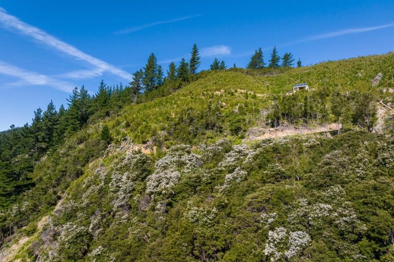 Photo of property in 785 Waikakaho Road, Tuamarina, Blenheim, 7273