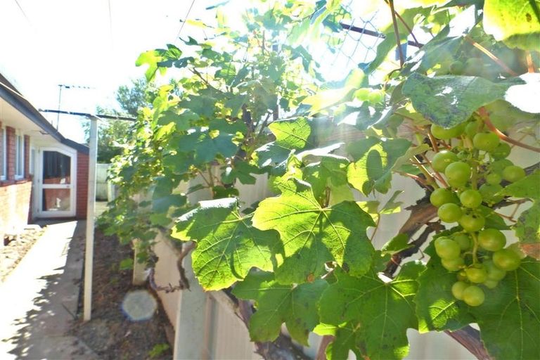 Photo of property in 1/73 Dunbars Road, Halswell, Christchurch, 8025