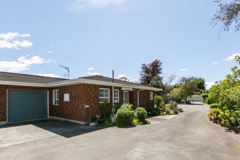 Photo of property in 8 Shortland Place, Havelock North, 4130