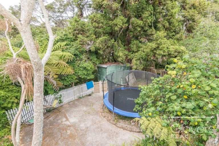 Photo of property in 38 Lantana Road, Green Bay, Auckland, 0604