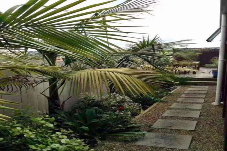 Photo of property in 13 Shirley Road, Grey Lynn, Auckland, 1021