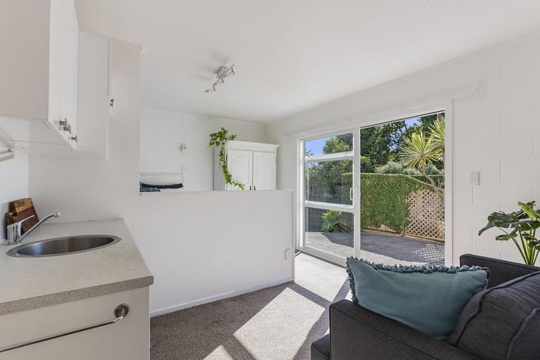 Photo of property in 25 Windmill Road, Mount Eden, Auckland, 1024