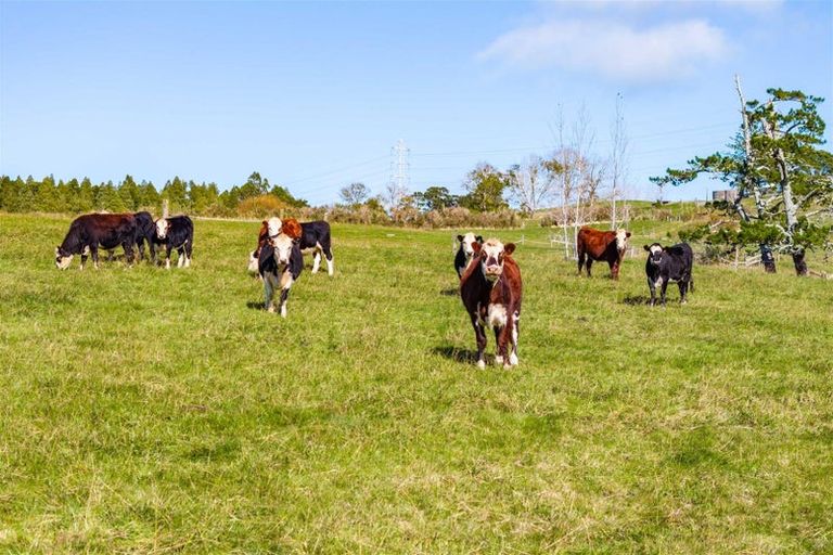 Photo of property in 103 Partridge Road, Wellsford, 0973