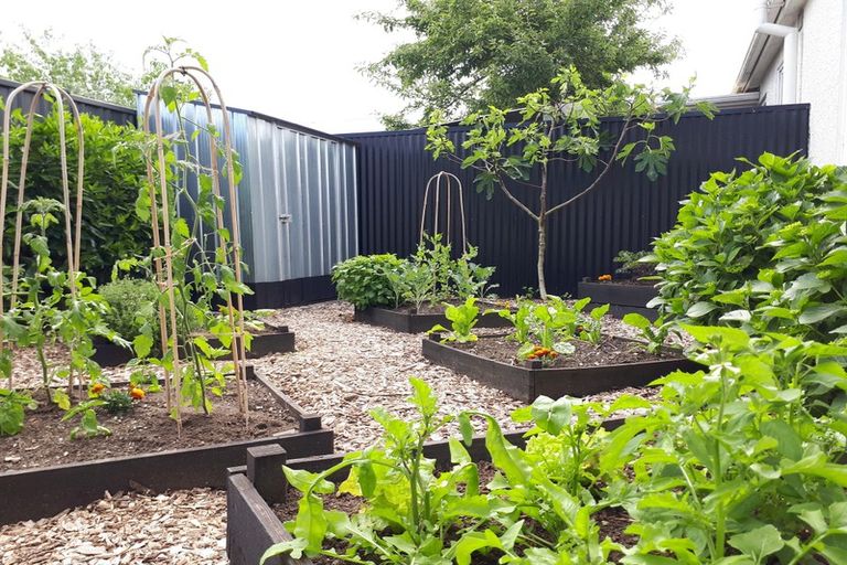 Photo of property in 64 Nelson Crescent, Carterton, 5713