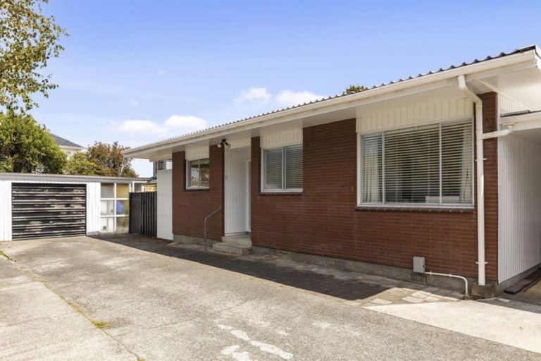 Photo of property in 54b Copeland Street, Hutt Central, Lower Hutt, 5011