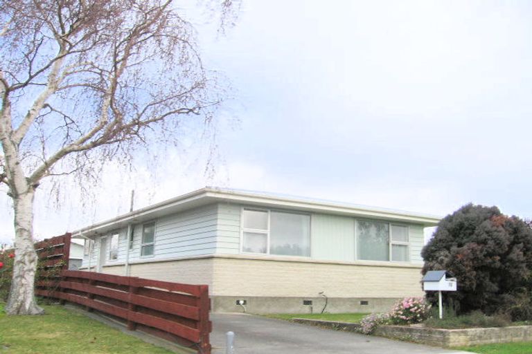 Photo of property in 72 Leicester Avenue, Tamatea, Napier, 4112