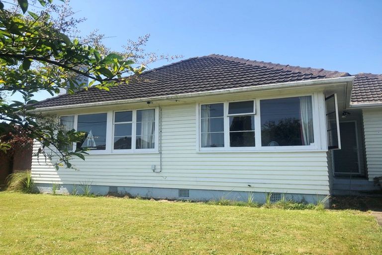 Photo of property in 41 Power Street, Levin, 5510