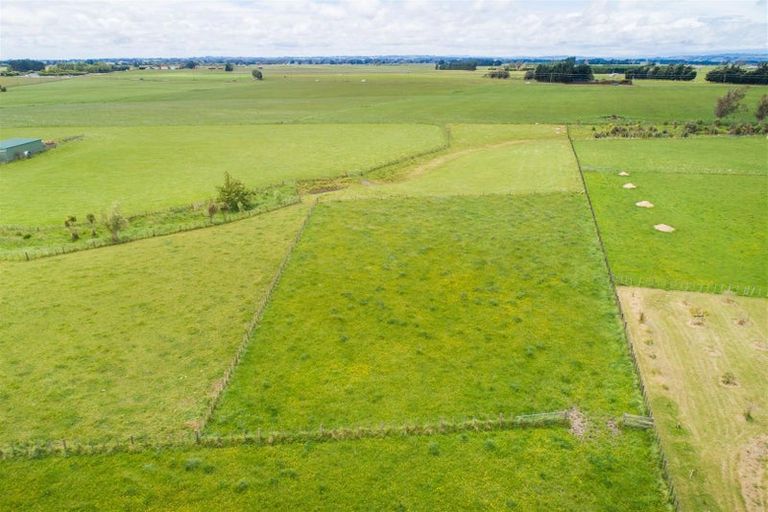 Photo of property in 81 Pukepapa Road, Marton, 4710