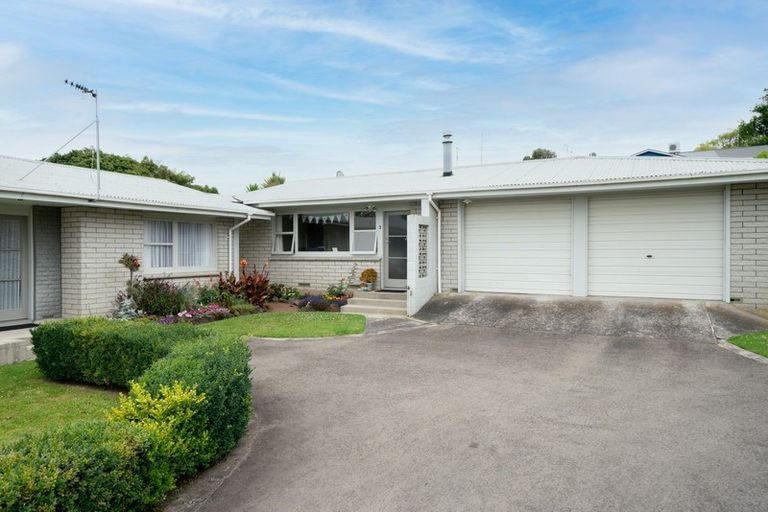 Photo of property in 3/87 Fraser Street, Tauranga South, Tauranga, 3112
