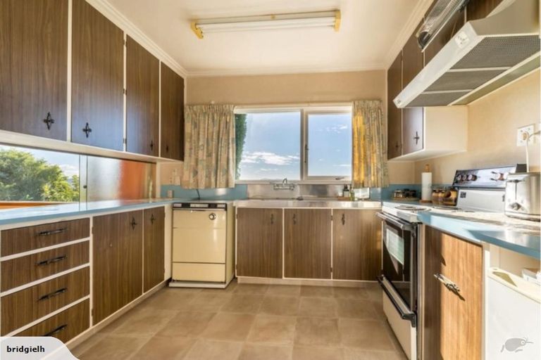 Photo of property in 53 Mailer Street, Mornington, Dunedin, 9011