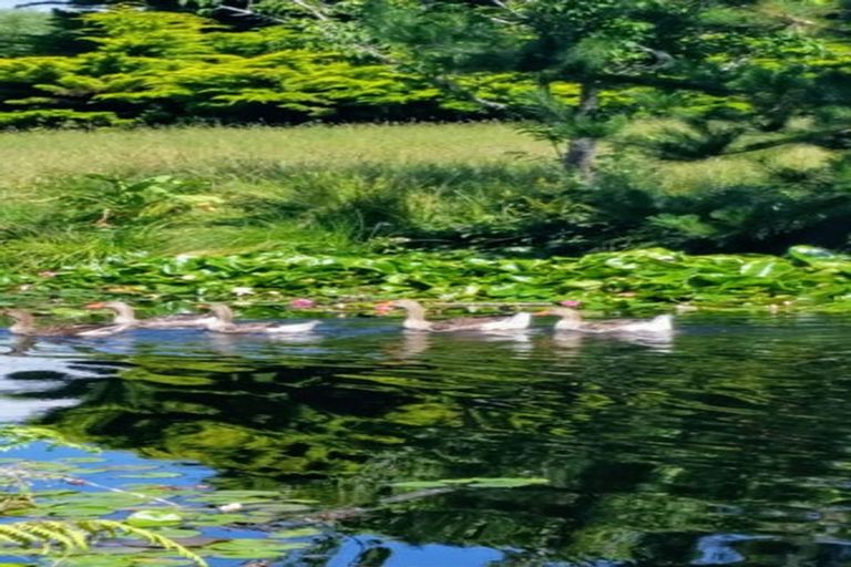 Photo of property in 9 Te Whanga Road, Levin, 5572