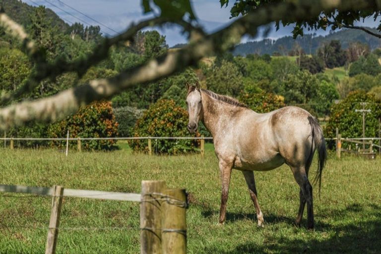 Photo of property in 42 Guy Road, Kaipara Flats, Warkworth, 0981