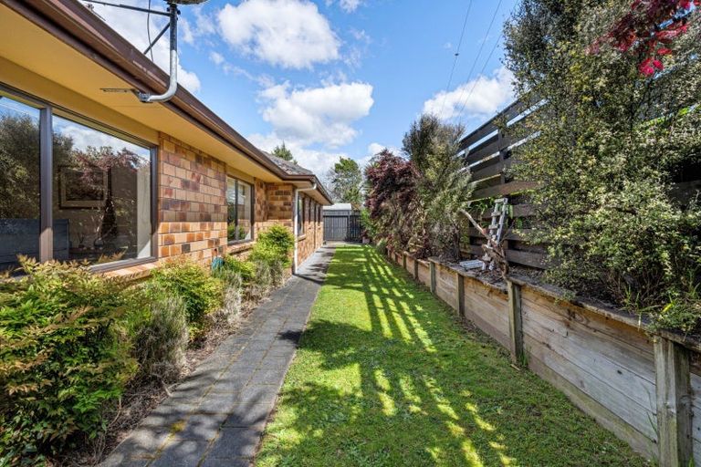 Photo of property in 168c Otumoetai Road, Brookfield, Tauranga, 3110