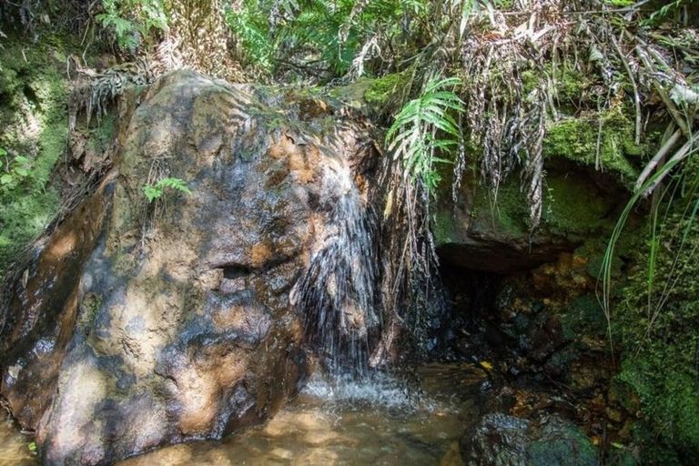 Photo of property in 160 Pumpkin Hill Road, Pumpkin Hill, Whitianga, 3591