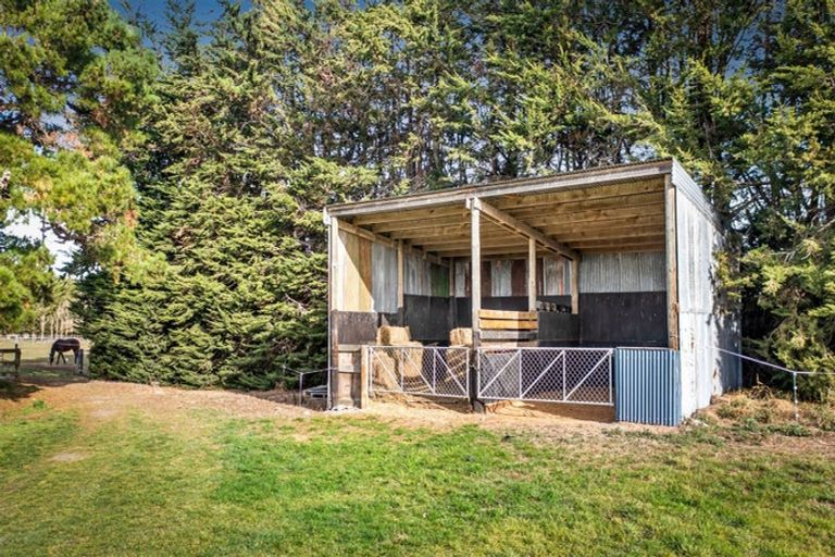 Photo of property in 321 Southbridge Leeston Road, Leeston, 7683